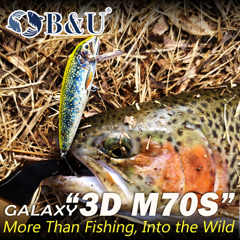 B&U Fishing Lures Sinking Minn – Trout Fishing Lure Bewertung und Preis
