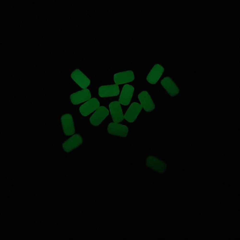 100Pcs/Bag Luminous Fishing So – Night Float Fishing Bewertung und Preis